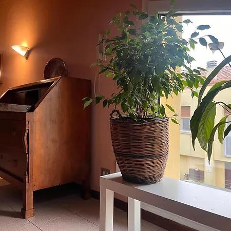 Urban Po Mansarda *